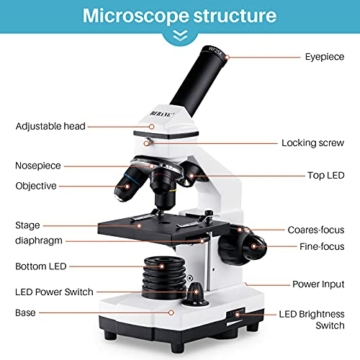 BEBANG 100X-2000X Mikroskop für Kinder Erwachsene, Professionelle Biologische Mikroskope für Studenten Schullabor Zuhause - 6