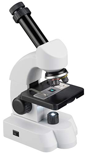 Bresser Junior Mikroskop mit 40x-640 facher Vergrößerung, Zoom-Okular und umfangreichem Starterpaket für den perfekten Einstieg in die Mikroskopie - 3