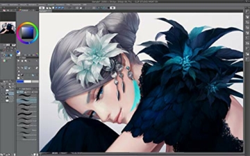 CLIP STUDIO PAINT EX - NEU - für Microsoft Windows und macOS (Deutsche Version) - 4