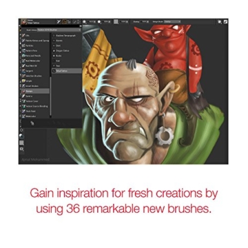 Corel Painter 2019 - 3