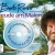 Happy Painting mit BOB ROSS WORKSHOP / MALKURS 2 DVD + Buch FREUDE AM MALEN - 