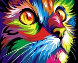 [ Holzrahmen oder nicht] Malen nach Zahlen Neuerscheinungen Neuheiten - DIY Gemälde durch Zahlen, Malen nach Zahlen Kits - colorful cat, 16 * 20 Zoll - digitales Ölgemälde Segeltuch Wand Kunst Grafik für Heim Wohnzimmer Büro Decor Decorations Geschenke - DIY Farbe durch Zahl DIY Segeltuch-Kit für Erweiterte Erwachsene Kinder Senioren Junior - Neue Ankunfts -