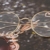 Lukis Brille Nerdbrille Retro Rund Unisex Metallgestell Brillenfassung Dekobrillen 140x50mm Gold - 7