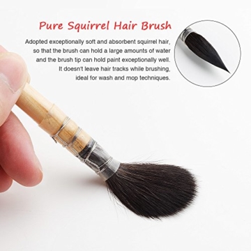 Paul Rubens Professional Aquarell Pinsel, Größe 6 Wash/Mop Runde Eichhörnchen Haar Pinsel für Kunst Malerei - 7