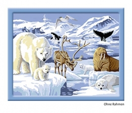 Ravensburger 28422 - Tiere der Arktis - Malen nach Zahlen, 30 x 24 cm -