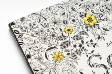 Secret Garden: An Inky Treasure Hunt and Colouring Book - 