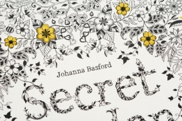 Secret Garden: An Inky Treasure Hunt and Colouring Book - 