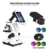 Slevoo Mikroskop für Kinder Studenten Anfänger 40X-1000X Kinder Mikroskop Auf- und Durchlicht Mikroskop mit WF10x WF25x Okular & LED Beleuchtung, Studentenmikroskop Junior Mikroskop mit Objektträger - 5