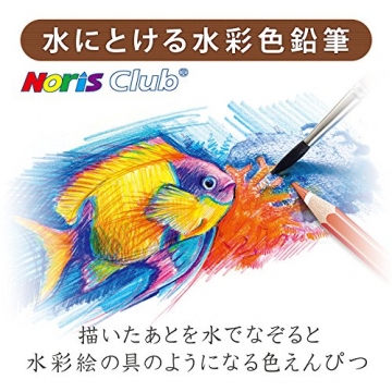 Staedtler 144 10ND36 - Noris Club Aquarell Farbstift, Doppeldeckeretui, 36 Stück - 