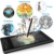 XP-PEN Artist 12 Grafikmonitor Drawing Pen Tablet Pen Display 1920 X 1080 HD IPS mit Touch Bar Zeichnen Stift P06 mit dem Radiergummi zum Fernunterricht Home-Office (Artist 12) - 2